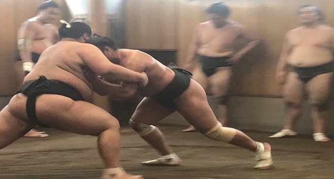 Early Morning Sumo Practice Viewing and Chanko Hot Pot Lunch Tour